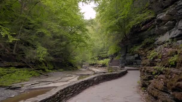 Caminhando Pela Trilha Watkins Glen State Park Durante Verão — Vídeo de Stock