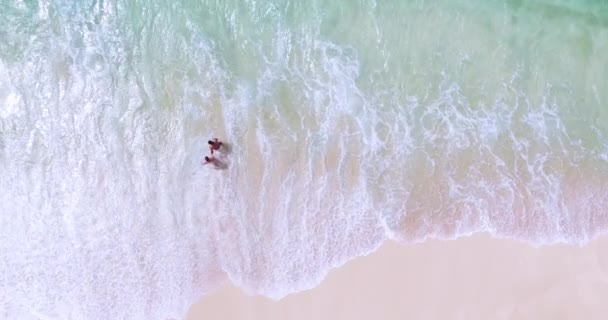 Widok Lotu Ptaka Plażę Pływanie Falach Koncepcja Wakacji — Wideo stockowe