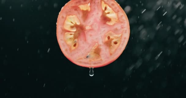 Tomatenschijfje Splashed Water Droplet Mist Met Liquid Drip Slow Motion — Stockvideo