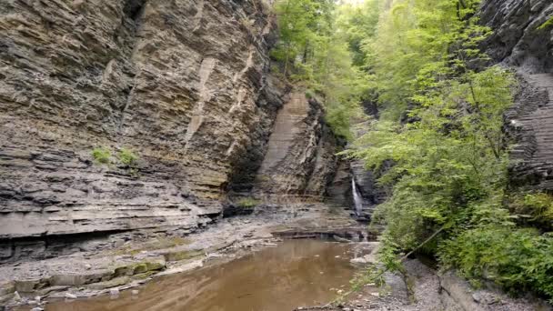 纽约州沃特金斯格伦州立公园 远处的瀑布被岩石峡谷和茂密的绿地环绕着 — 图库视频影像