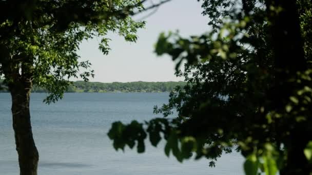 Looking Trees Shoreline Side Lake — Stock Video