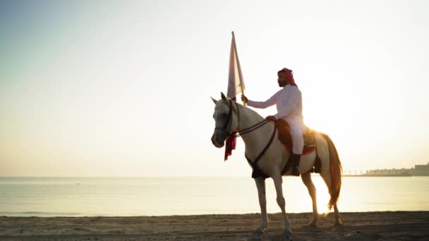 Een Ridder Paard Met Qatar Vlag Buurt Van Zee — Stockvideo