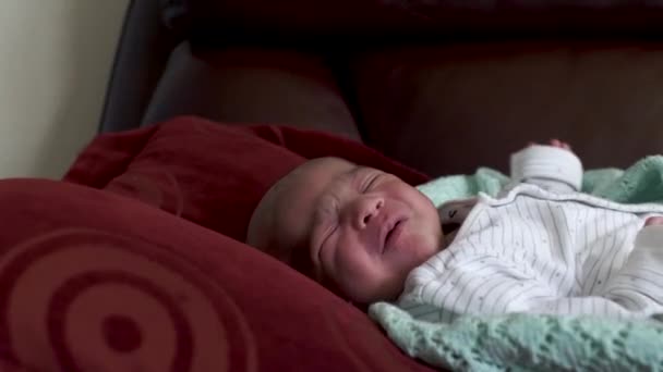 New Born Baby Boy Crying Fidgeting Laying Back Pillow Sofa — Stock Video