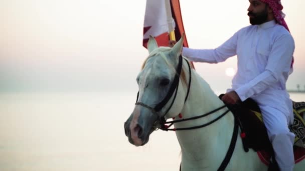 Een Ridder Paard Met Qatar Vlag Buurt Van Zee — Stockvideo