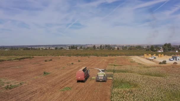 カリフォルニアのセントラルバレーの農地でのコンバイン ハーベスター加工作物の空中クローズアップ撮影 — ストック動画