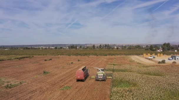 Panoramica Aerea Ravvicinata Una Mietitrebbia Che Trasforma Colture Nei Terreni — Video Stock