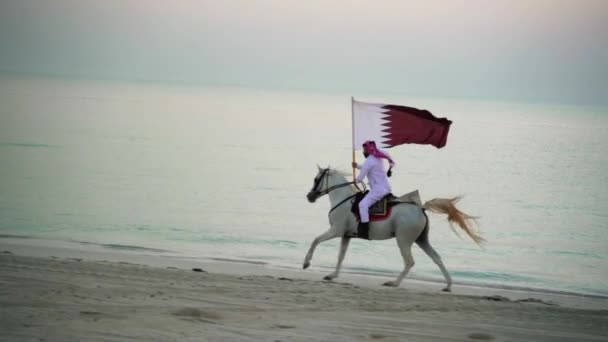 Cavaleiro Montando Cavalo Correndo Segurando Bandeira Qatar Perto Mar — Vídeo de Stock