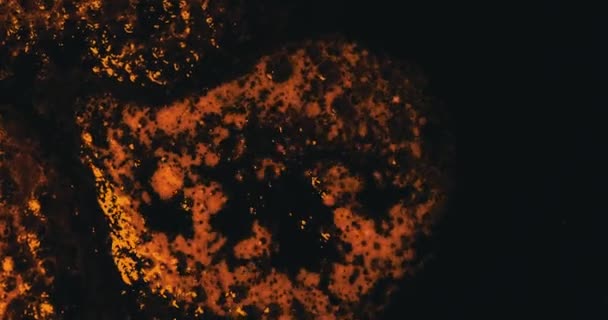 泡状和膨胀性液体的流线型宏图 — 图库视频影像