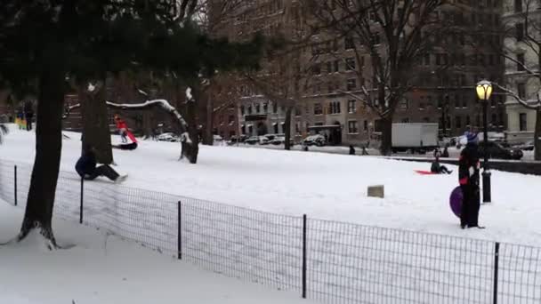 Adultos Crianças Trenó Snowboard Câmera Lenta Central Park Nova York — Vídeo de Stock