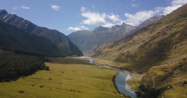 Voler Travers Une Vallée Verdoyante Spectaculaire Dans Les Montagnes Néo — Video