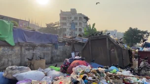 达卡市街头的垃圾问题 手持视图 — 图库视频影像
