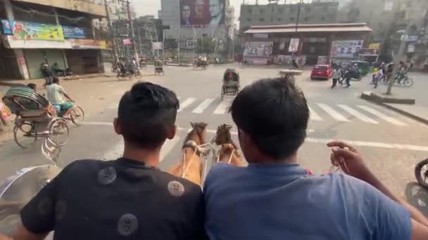 Twee Mannen Controleren Paardenkoets Dhaka City Pov Van Achteren — Stockvideo