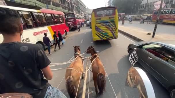 Paardrijtuig Zwaar Verkeer Van Dhaka Stad Pov Uitzicht — Stockvideo