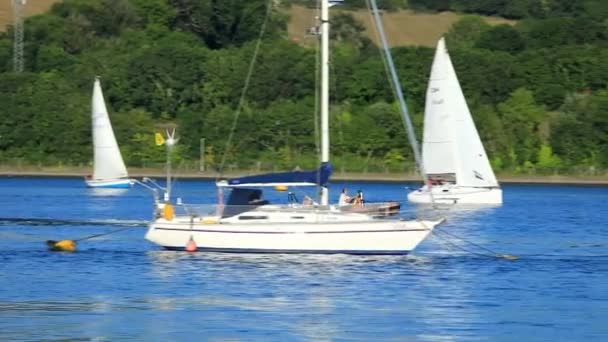 Bote Pequeño Con Motor Que Corre Por Río Tamar Cerca — Vídeo de stock