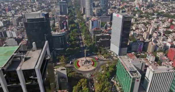 Mexico City Havacılık V42 Kuş Bakışı Üstgeçit Ağaç Etrafında Paseo — Stok video