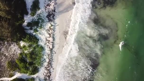 Escena Tropical Playa Arena Blanca Tranquilas Olas Marinas Día Soleado — Vídeo de stock