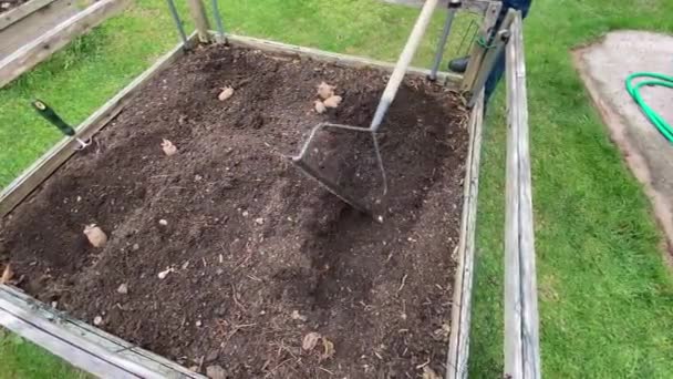 Raking Preparing Garden Plot Planting Potatoes — Stock Video