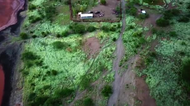 Alam Lanskap Sekitar Danau Natron Tanzania Udara Atas Bawah — Stok Video