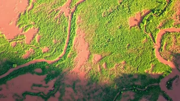 Einzigartige Landschaft Des Natronsees Tansania Afrika Luftaufnahme Von Oben — Stockvideo