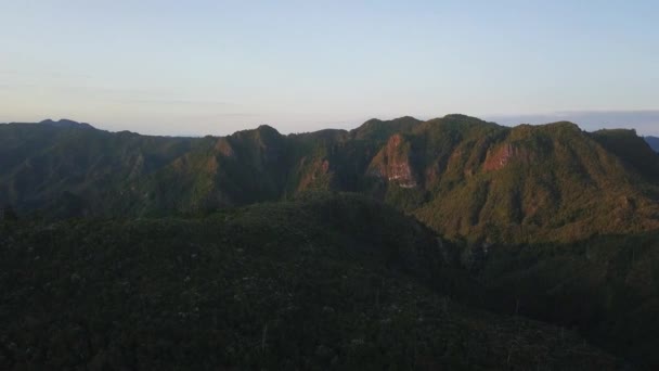 纵观岩石山峰和深绿色的森林山谷 可以看到广阔的山区地平线 新西兰科洛曼德尔山脉 — 图库视频影像