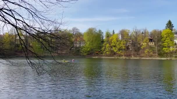 Two Kayakers Kayaking Dam Lake Liberec Czech Republic Trees Brunches — Stock Video