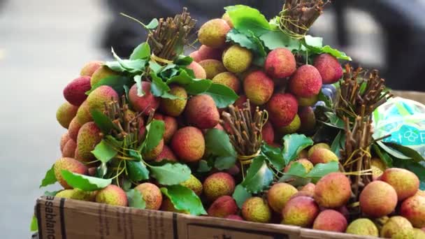 Fresh Bunch Lychee Fruit Koop Straat Van Chi Minh City — Stockvideo