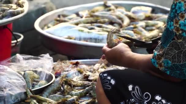 Fishmonger Cortando Antena Los Pereiópodos Camarones Con Unas Tijeras Mercado — Vídeos de Stock