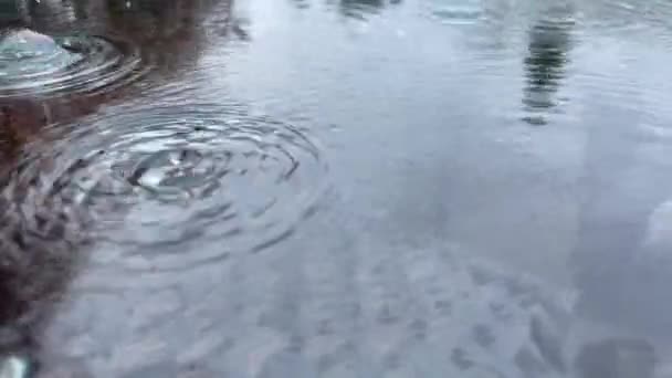 Gotas Lluvia Goteando Sobre Superficie Húmeda Transparente Primer Plano Detalle — Vídeos de Stock