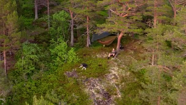 Caminhante Masculino Camping Rede Com Companheiro Cão Floresta Montesa Recuo — Vídeo de Stock