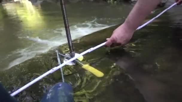 Cientista Com Botas Tenta Medir Fluxo Rio Com Uma Sonda — Vídeo de Stock