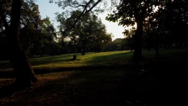 Hermosa Puesta Sol Parque Botánico Paraguay — Vídeos de Stock