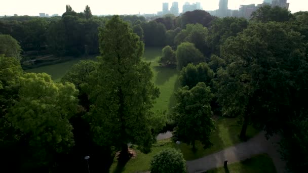 Luftaufnahme Von Oog Stadtpark Bei Frühmorgendlichem Sonnenaufgang Die Stadtlandschaft Von — Stockvideo