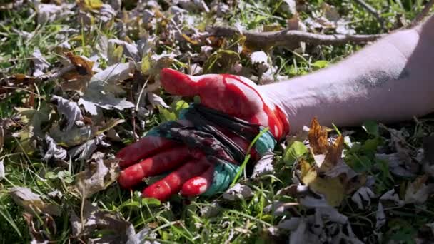 Blutende Hand Mit Improvisiertem Tourniquet Aus Stoff Auf Einem Gras — Stockvideo