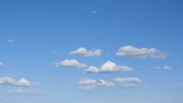 Wonderful Blue Sky Airplane Flight Bird Nearby Panning View — Stock Video