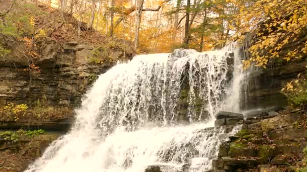 Picturesque Lower Decew Falls Cascading Rugged Cliff Autumn Ontario Static — Stock Video