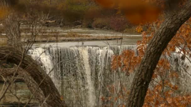 Majestuosa Cascada Escarpe Del Niágara Ontario Con Impresionantes Colores Otoñales — Vídeos de Stock