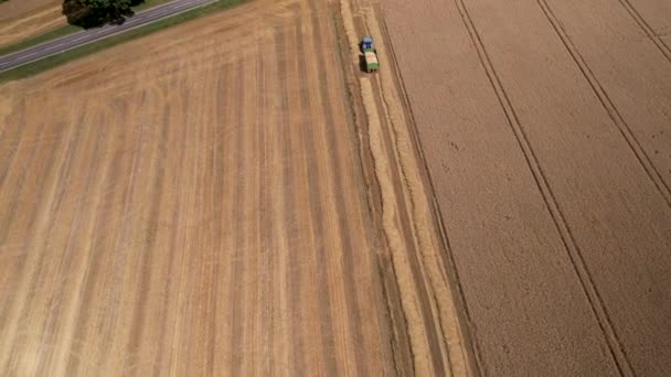 畑を走る穀物でいっぱいのトレーラーを持つトラクター 空中ビュー — ストック動画