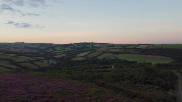 Aerial Drone Sunrise Pushing Shot Fields Και Purple Heather Orange — Αρχείο Βίντεο