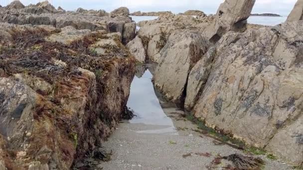 Lee Bay Beach North Devon 4Kで海草に覆われた海の岩の遅いパンニングショット — ストック動画