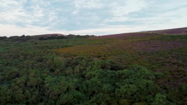 Beautiful Sunrise Aerial Drone Sideways Shot Colourful Green Purple Heather — Αρχείο Βίντεο
