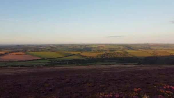 Fast Rising Aerial Drone Beautiful Purple Heather Rolling Fields Wind — Αρχείο Βίντεο