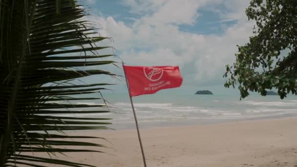 Tropical Beach Red Flag Warning Swimming Foreground Palm Trees Scenic — Stock Video