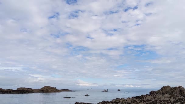 Shot Van Paddle Boarders Rocky Coastal Lee Bay Beach Noord — Stockvideo