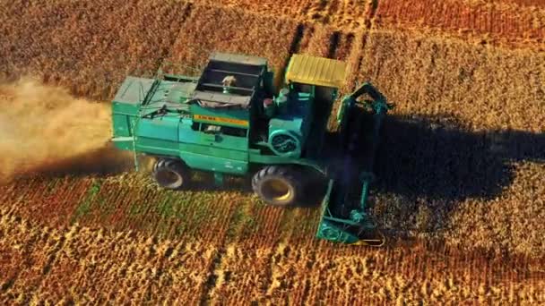 Tracteur Agricole Récoltant Des Cultures Mûres Dorées Sur Terrain Lituanie — Video