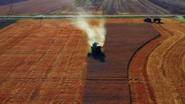 Cloudy Smokes Rear Working Tractor Під Час Збору Врожаю Литві — стокове відео