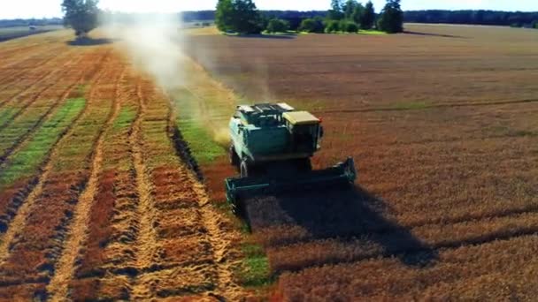 Combineer Oogstmachine Werken Een Landbouwgebied Tijdens Oogst Litouwen Luchtfoto Drone — Stockvideo