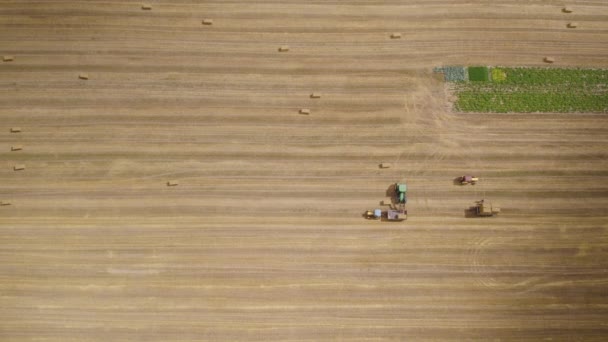 Luchtfoto Van Boeren Die Hooibalen Oogsten Bovenaanzicht Boven Het Veld — Stockvideo