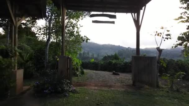 Drone Sortant Une Ferme Vers Une Plantation Extérieure Costa Rica — Video