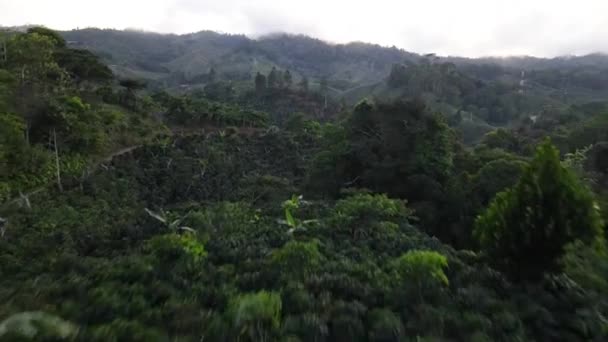 Pędzący Dron Wystrzelony Nad Wzgórzami Ziemi Uprawnej Kostaryka — Wideo stockowe