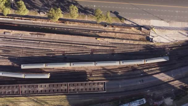 Sąsiadujące Równoległe Pociągi Towarowe Przejeżdżające Federico Lacroze Buenos Aires — Wideo stockowe